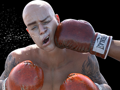 THE_PUNCH.png