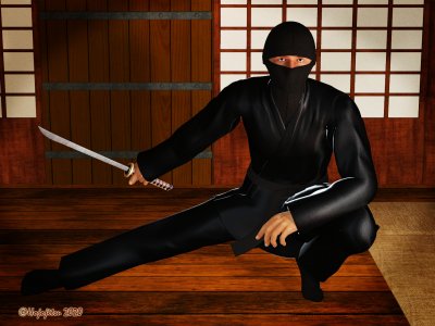 Ninja-Crouch-1.jpg