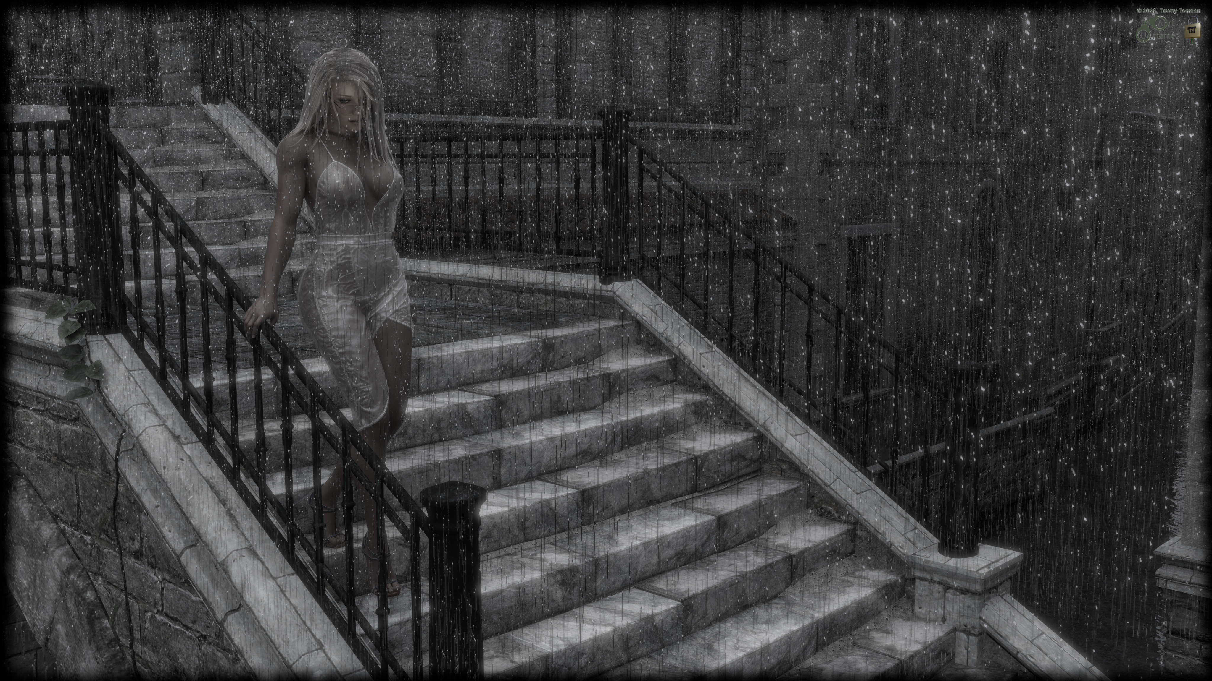 Tawny in The Rain