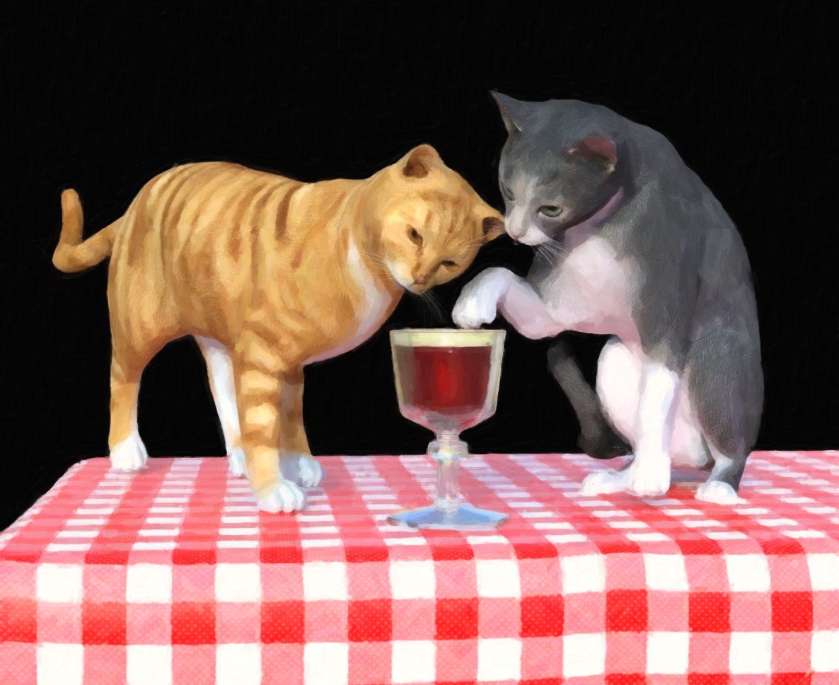 Two Cats and Raspberry Parfait